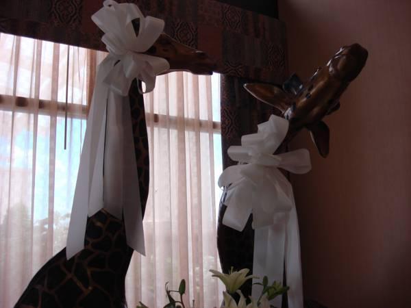 Holiday Inn Quincy By Ihg Εξωτερικό φωτογραφία